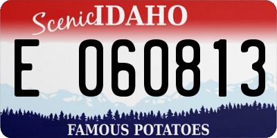 ID license plate E060813