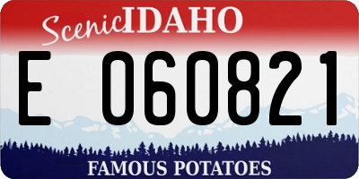ID license plate E060821