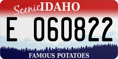 ID license plate E060822