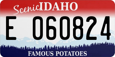 ID license plate E060824