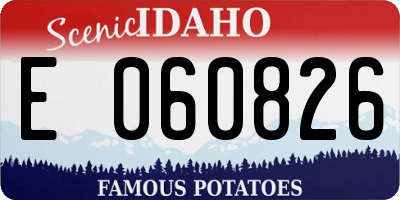 ID license plate E060826
