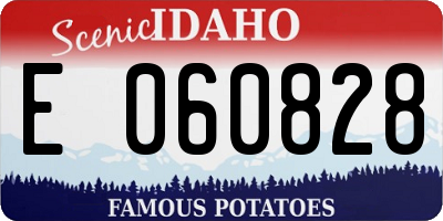 ID license plate E060828