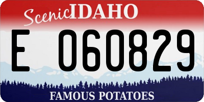ID license plate E060829