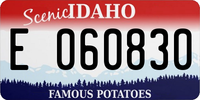 ID license plate E060830