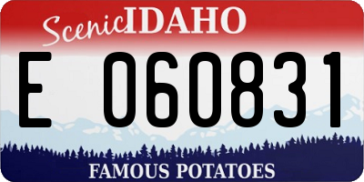 ID license plate E060831
