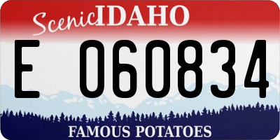ID license plate E060834