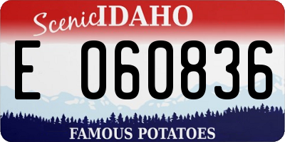 ID license plate E060836