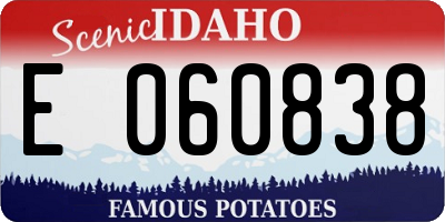 ID license plate E060838