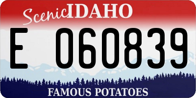 ID license plate E060839