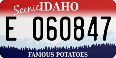 ID license plate E060847