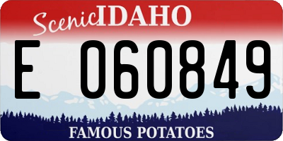 ID license plate E060849