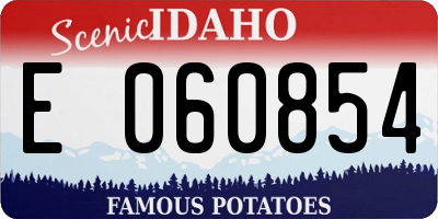 ID license plate E060854