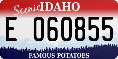 ID license plate E060855