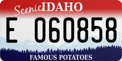 ID license plate E060858