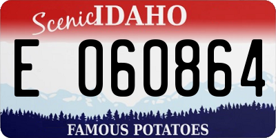 ID license plate E060864