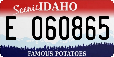 ID license plate E060865