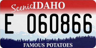 ID license plate E060866
