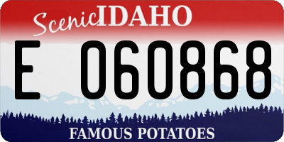 ID license plate E060868