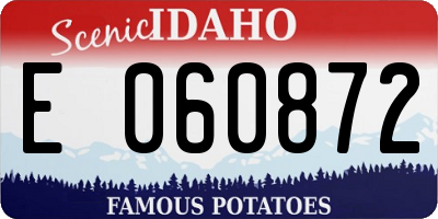 ID license plate E060872