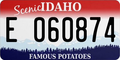 ID license plate E060874