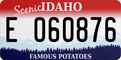 ID license plate E060876