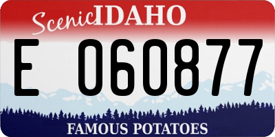 ID license plate E060877