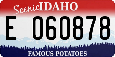 ID license plate E060878