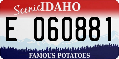 ID license plate E060881