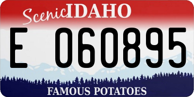 ID license plate E060895