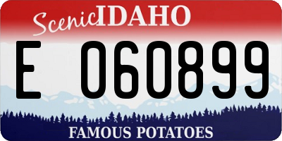ID license plate E060899