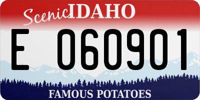 ID license plate E060901
