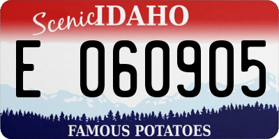 ID license plate E060905