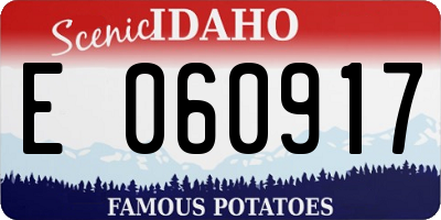 ID license plate E060917