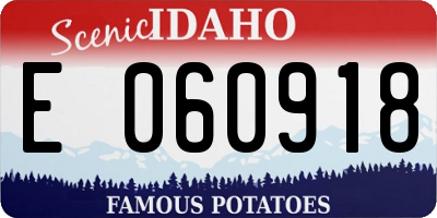 ID license plate E060918
