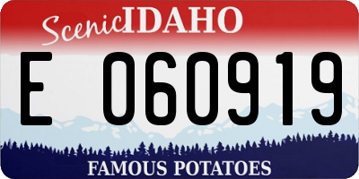 ID license plate E060919