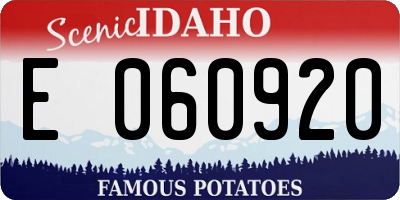 ID license plate E060920