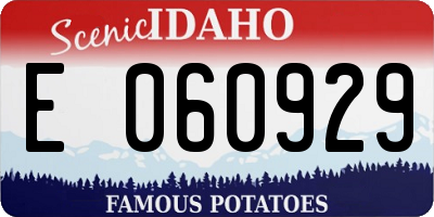ID license plate E060929