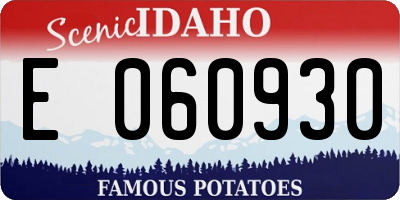 ID license plate E060930