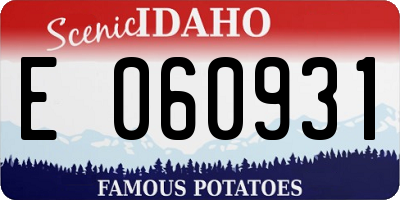 ID license plate E060931