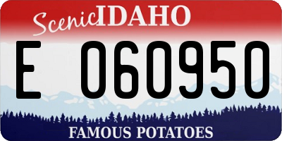 ID license plate E060950