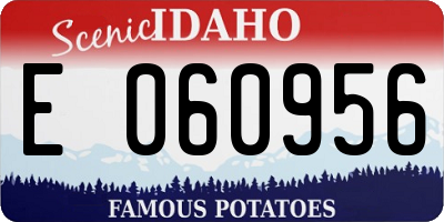ID license plate E060956