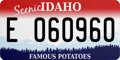 ID license plate E060960