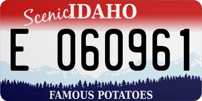 ID license plate E060961
