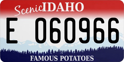 ID license plate E060966