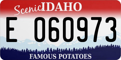 ID license plate E060973