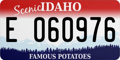ID license plate E060976