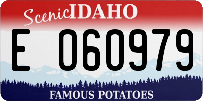 ID license plate E060979