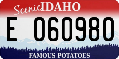 ID license plate E060980