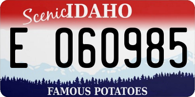 ID license plate E060985