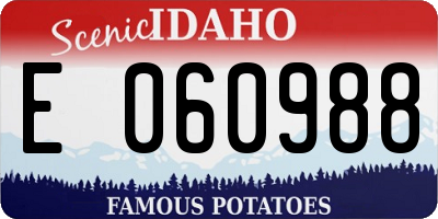 ID license plate E060988